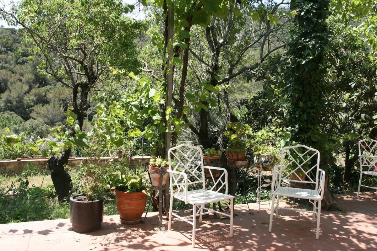 Masia Can Sunyer Agroturismo Ла-Гаррига Экстерьер фото